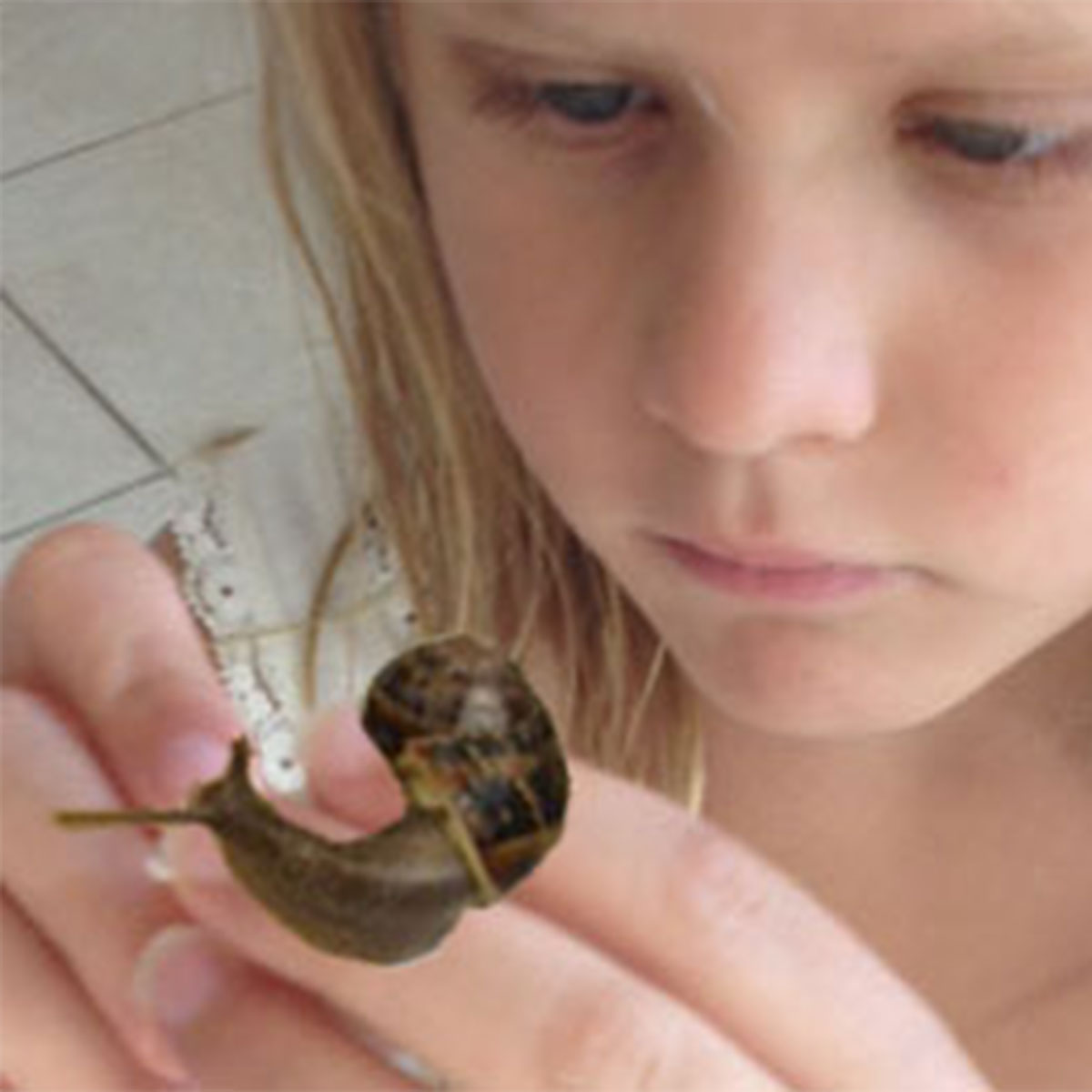 Girl looking up close at a snail antenna.